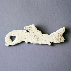 Nova Scotia fridge magnet with grey background