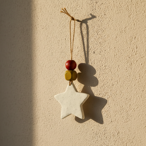 Handmade Star Ornament by Sassy Sacha Jewelry hanging on wall