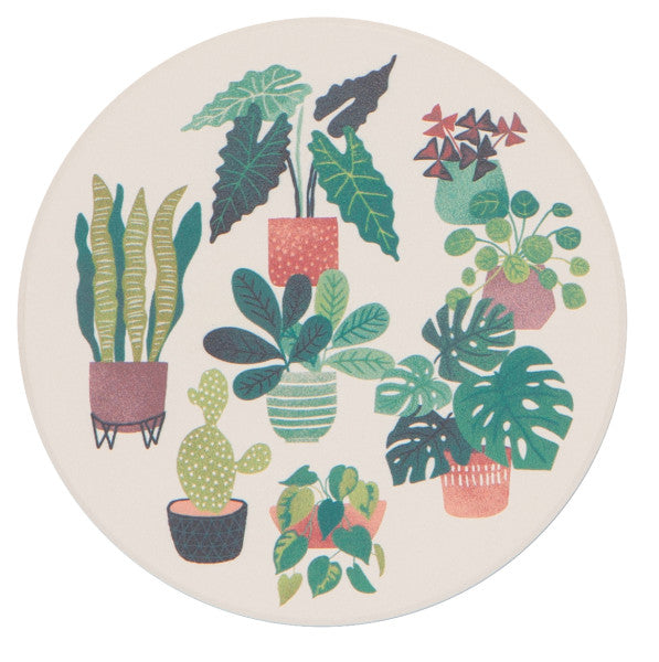 Soak Up Coaster Set - Let it Grow